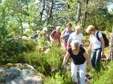 2014-07-03 10-22-36 Rando foret de Nemours FGn